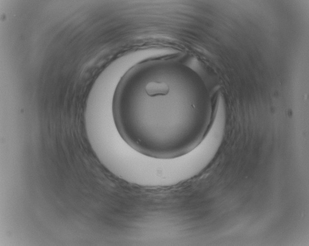 X0000075901014200610062112