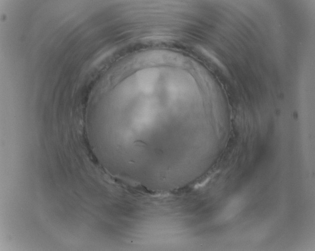 X0000075901015200610062112