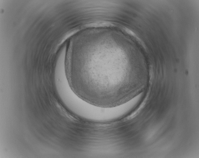 X0000075901017200610062112