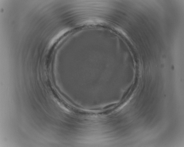 X0000075901018200610062112