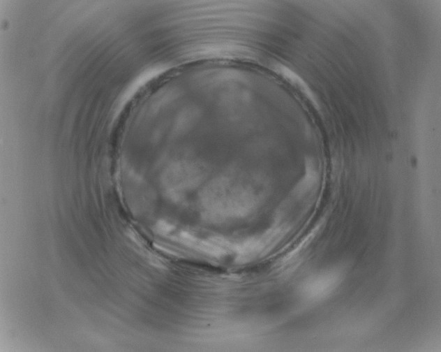 X0000075901019200610062112