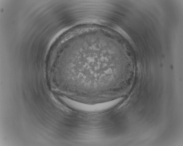 X0000075901020200610062112