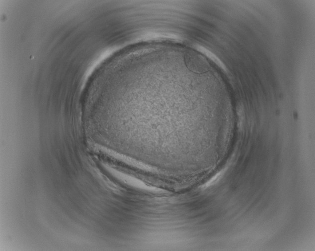 X0000075901021200610062112