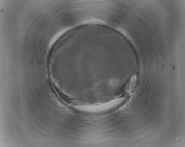 X0000075901022200610062112