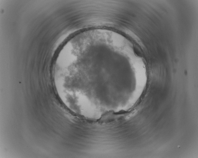 X0000075901023200610062112