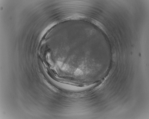 X0000075901026200610062112