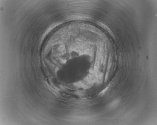 X0000075901027200610062112