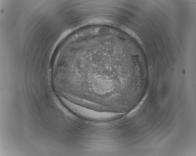 X0000075901029200610062112