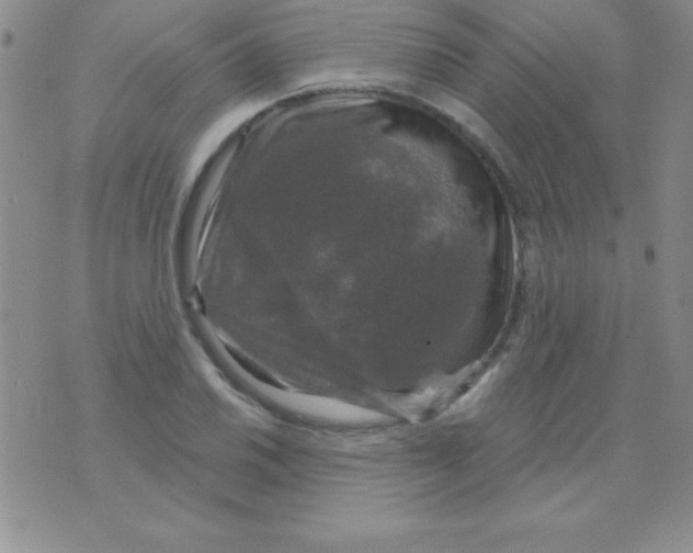 X0000075901030200610062112