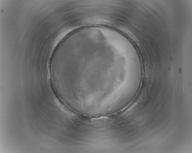 X0000075901031200610062112