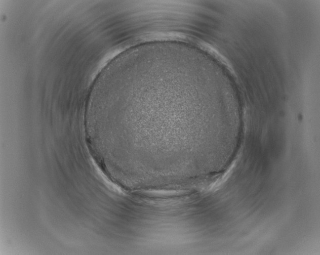 X0000075901033200610062112