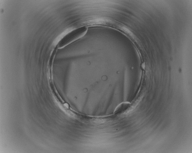 X0000075901034200610062113