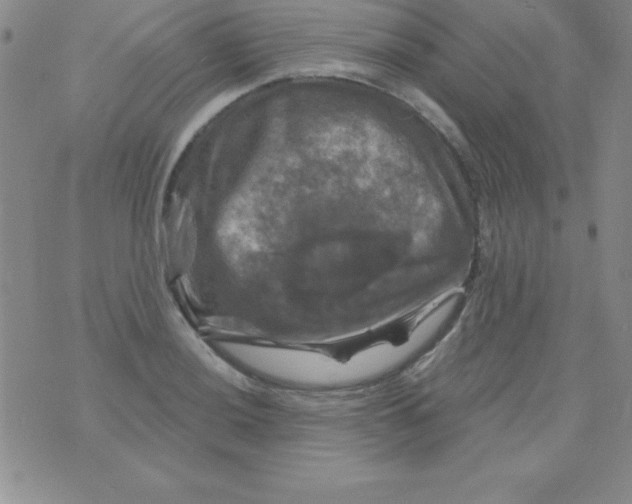 X0000075901036200610062113