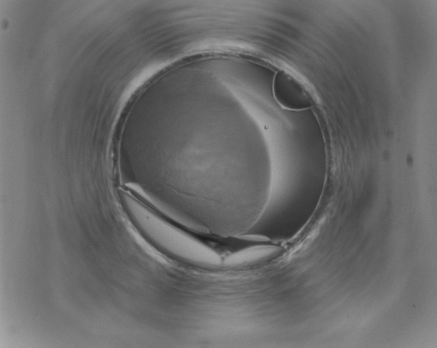 X0000075901037200610062113