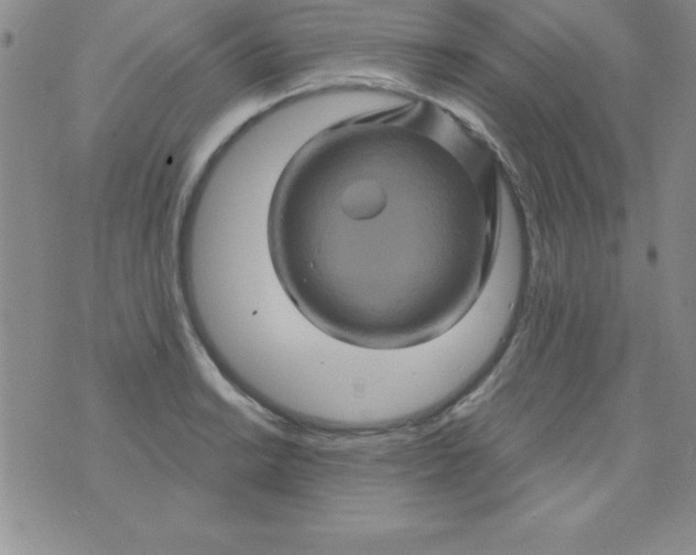 X0000075901038200610062113