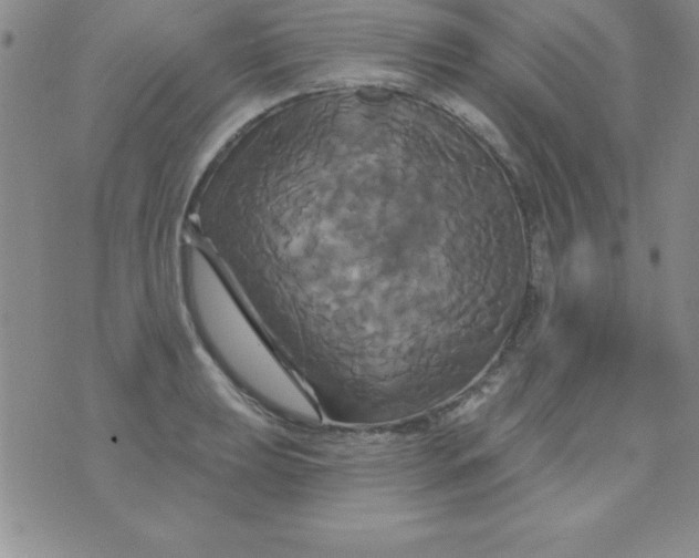 X0000075901039200610062113