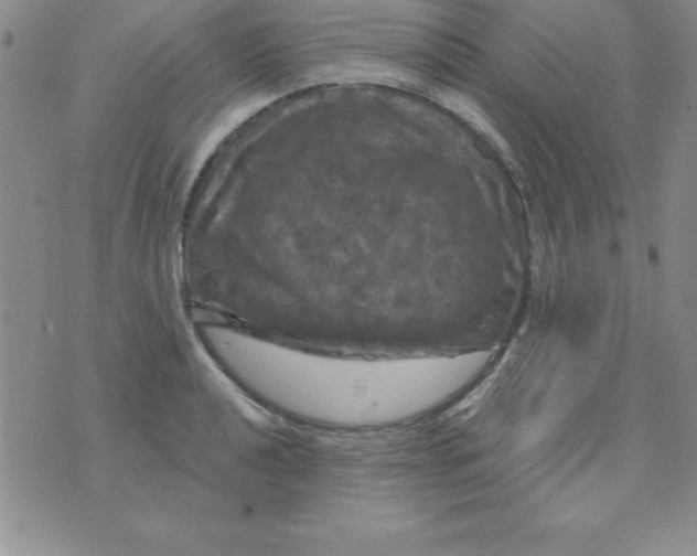 X0000075901040200610062113