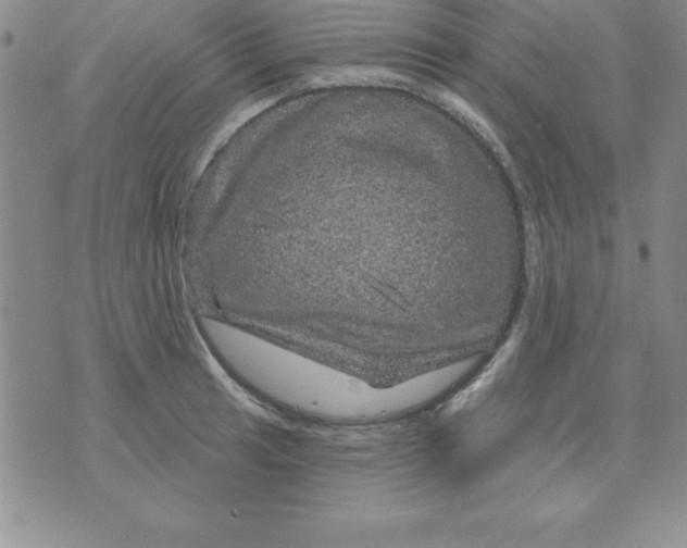 X0000075901041200610062113