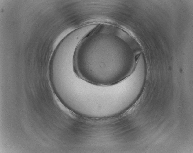 X0000075901042200610062113