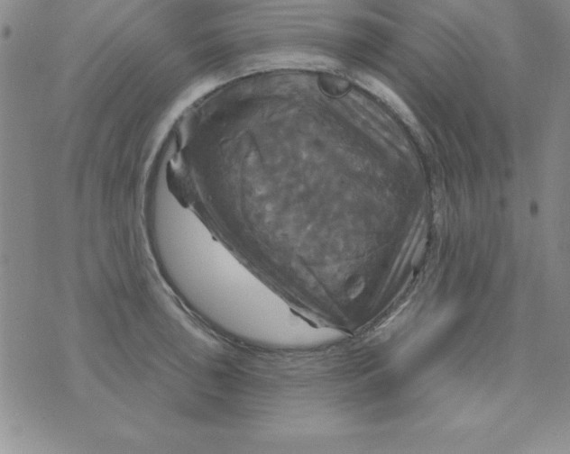 X0000075901043200610062113