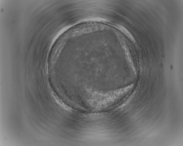 X0000075901044200610062113