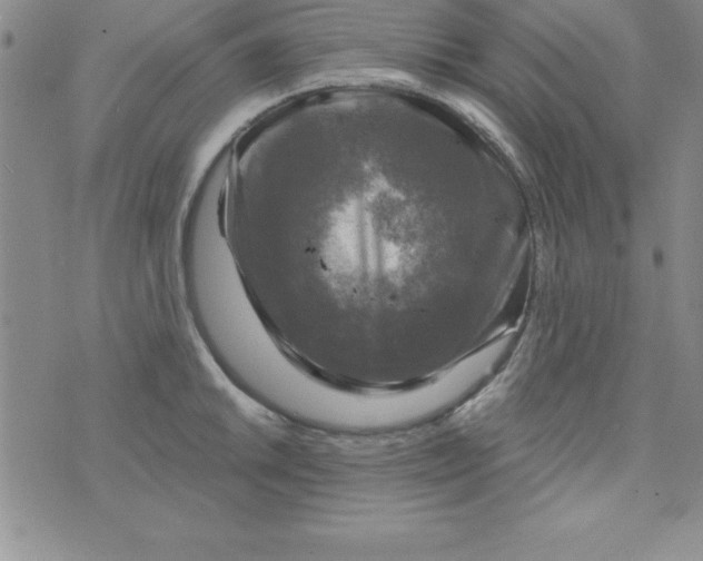 X0000075901046200610062113