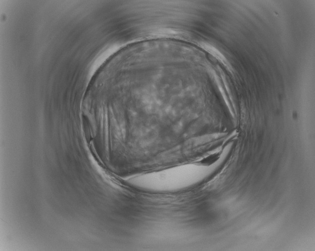 X0000075901047200610062113