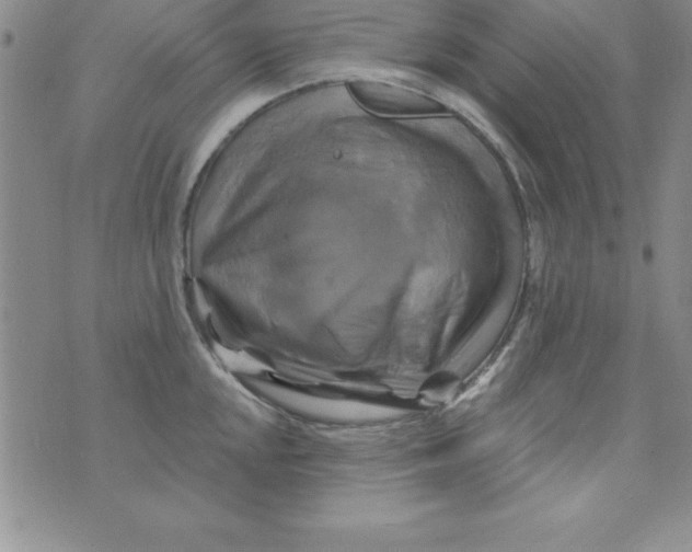 X0000075901048200610062113