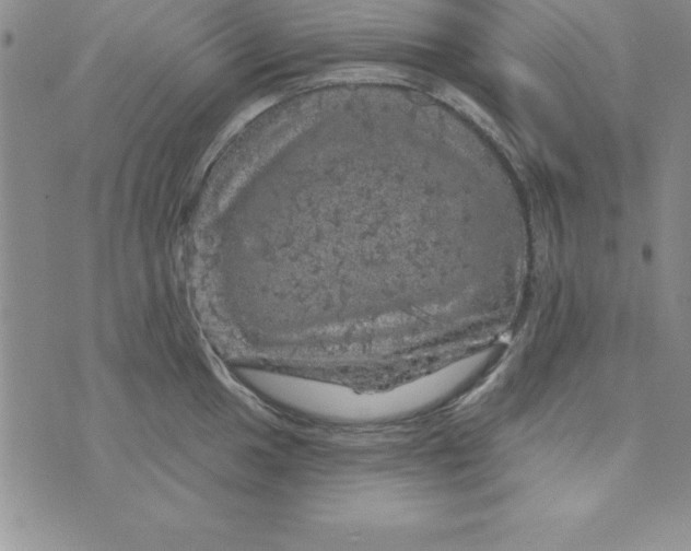 X0000075901049200610062113