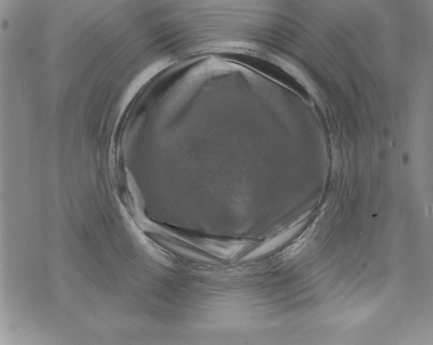 X0000075901050200610062113