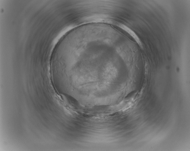 X0000075901051200610062113