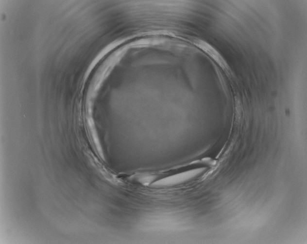 X0000075901052200610062113