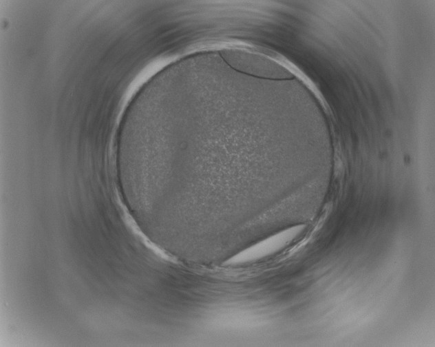 X0000075901053200610062113