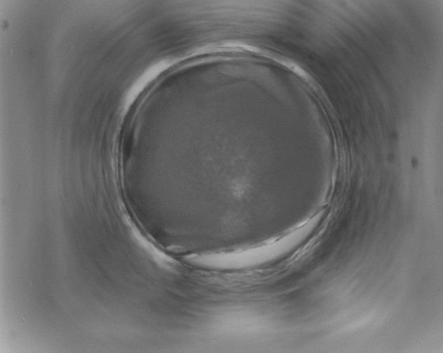 X0000075901054200610062113