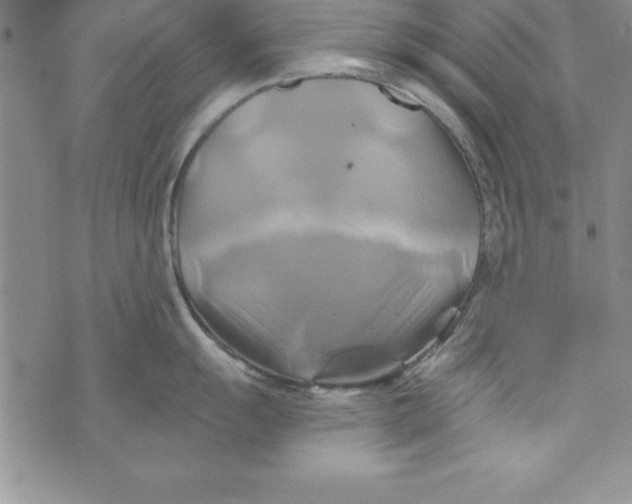 X0000075901055200610062113