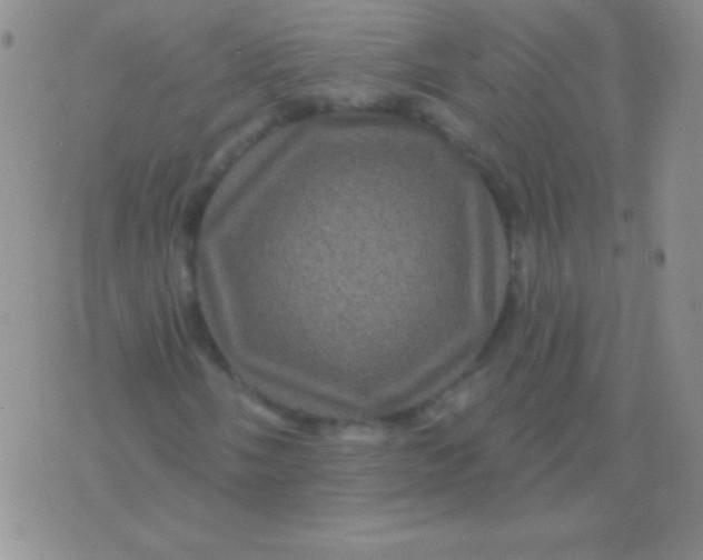 X0000075901058200610062112