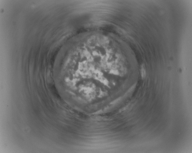 X0000075901059200610062112