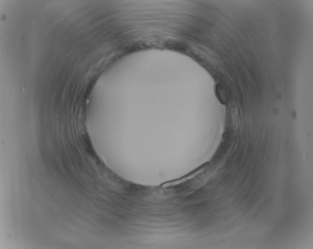 X0000075901060200610062112