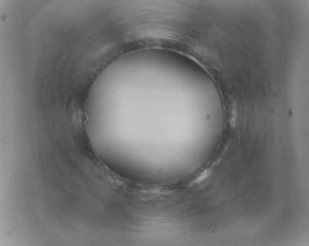 X0000075901061200610062112