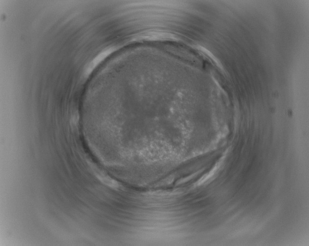 X0000075901065200610062112