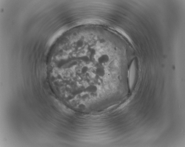 X0000075901067200610062112