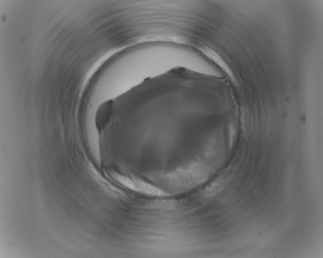 X0000075901068200610062112