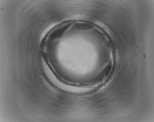 X0000075901069200610062112