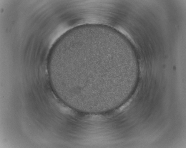 X0000075901070200610062112