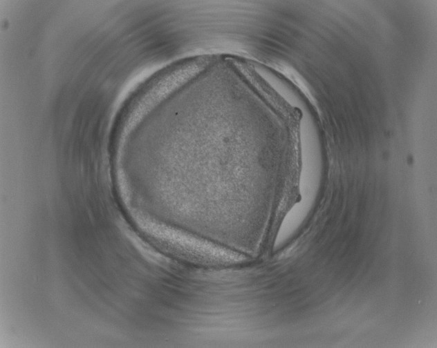 X0000075901072200610062112