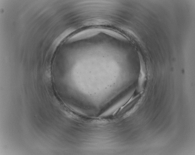 X0000075901073200610062112