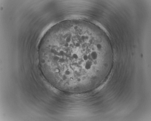 X0000075901075200610062112