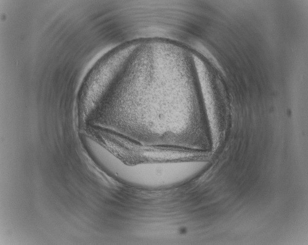 X0000075901076200610062112