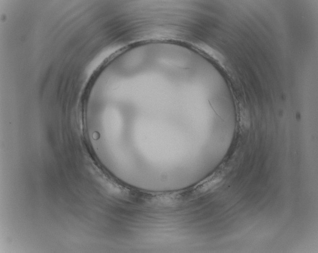 X0000075901078200610062112