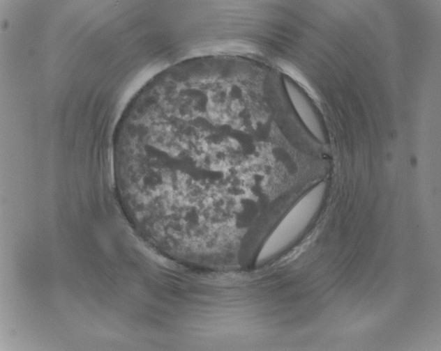 X0000075901079200610062112